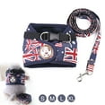 thumbnail image 4 of Amdohai Dog Harness Dog Leash Set Pet Harness and Leash for Walking, 4 of 8