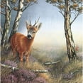 thumbnail image 2 of Deer in forest Poster Print by Jan Weenink (12 x 12), 2 of 2
