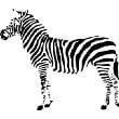 thumbnail image 1 of Zebra Picture Art 20"X20" - Living Room - Peel & Stick Sticker - Vinyl Wall Decal, 1 of 2