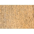 thumbnail image 1 of Ahgly Company Indoor Rectangle Solid Orange Modern Area Rugs, 5' x 8', 1 of 4