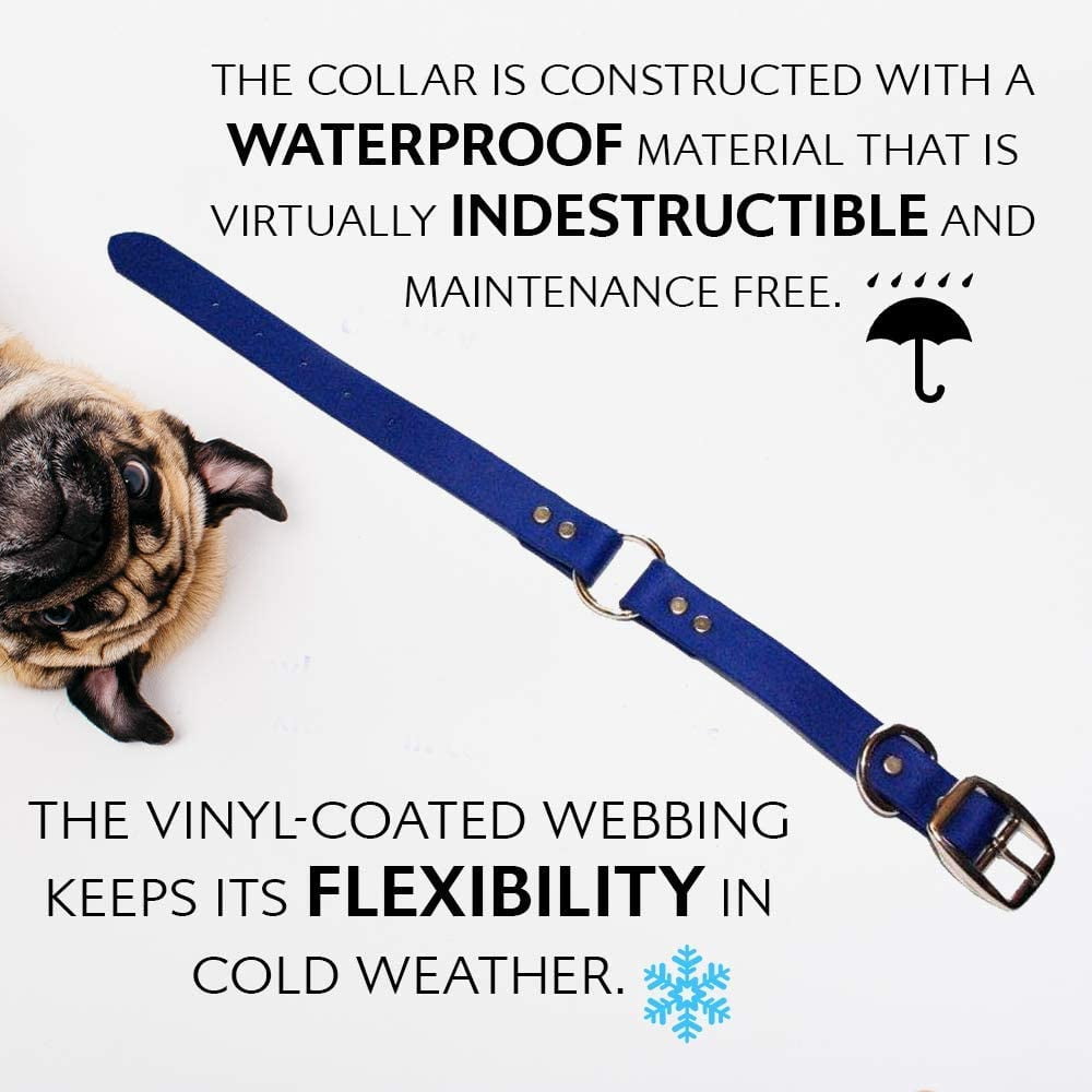 Regal Dog Products Waterproof Collar Heavy Duty Center Ring with D ring