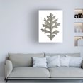 thumbnail image 3 of Wild Apple Portfolio 'Histoire Naturelle Leaves II' Canvas Art, 3 of 4