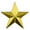 Gold, variant on PinMart's Military 3D 5 Point Gold Star Lapel Pin