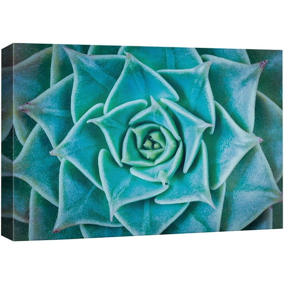 wall26 Canvas Print Wall Art Vibrant Blue Green Haworthia Succulent Nature Floral Photography Realism Botanical Wilderness Zen Rustic Colorful Decorative for Living Room, Bedroom, Office - 32"x4
