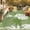 Grass Green, variant on IValue Outdoor Rugs 8’x 10’ Waterproof Reversible Patio Rugs Outdoor Portable RV Camping Mats for Deck Porch