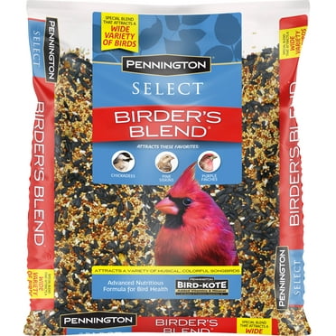 Wagner's Nyjer Premium Bird Seed, 5 Lb - Walmart.com