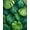 Green, Pattern 1, variant on ODIKA 4'x6' Machine Washable Non-Slip Area Rug, Tropical Monstera Leaf with Jungle Botanical Motifs High Traffic Rug, Green, 133958