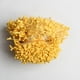 thumbnail image 4 of 2 x 1400 Piezas de Estambres Elegante de Yeso para Flores Decorar Pasteles Sunnimix Estambres, 4 of 8