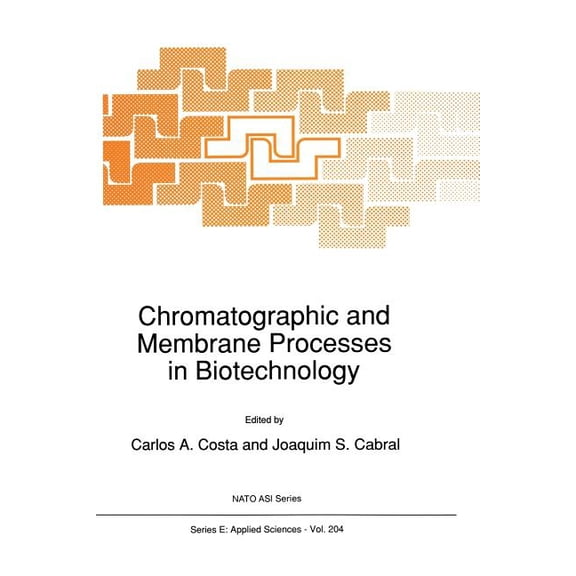 NATO Science Series E: Chromatographic and Membrane Processes in Biotechnology, Book 204, (Paperback)