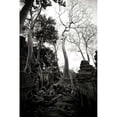 thumbnail image 3 of Berzel, Erin 17x24 Black Modern Framed Museum Art Print Titled - Ancient Ta Prohm I, 3 of 5