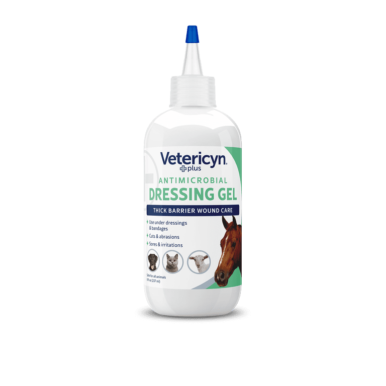 creamy ranch dressing Creamy Ranch Dressing and Dip (Dairy Free)
