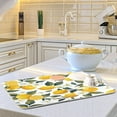 thumbnail image 6 of Lemons Dish Drying Mat for Kitchen Counter, Absorbent Heat-Resistant Microfiber Dish Drainer for Countertop Mat, 16x18 in, 6 of 6