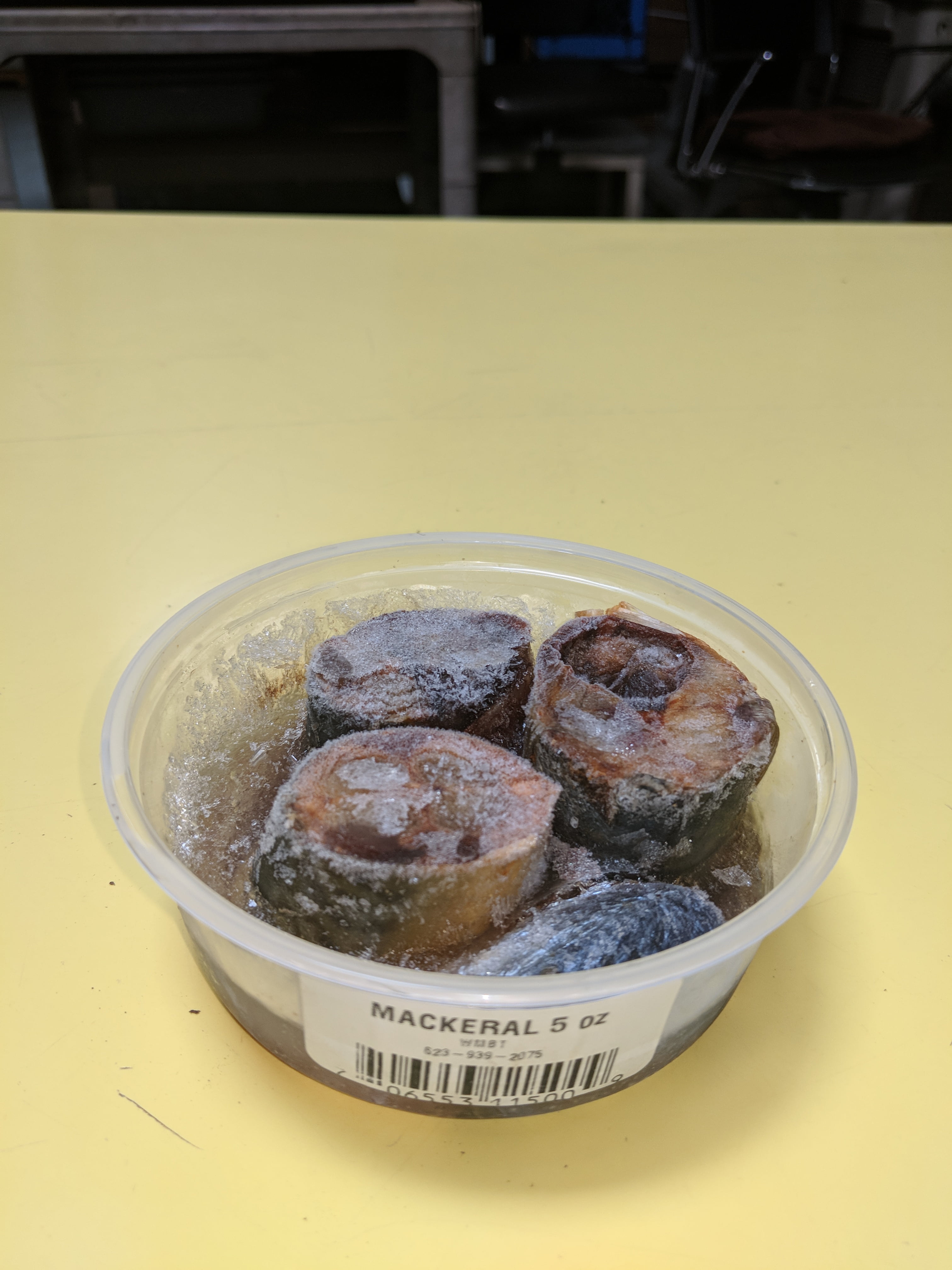 frozen mackerel bait