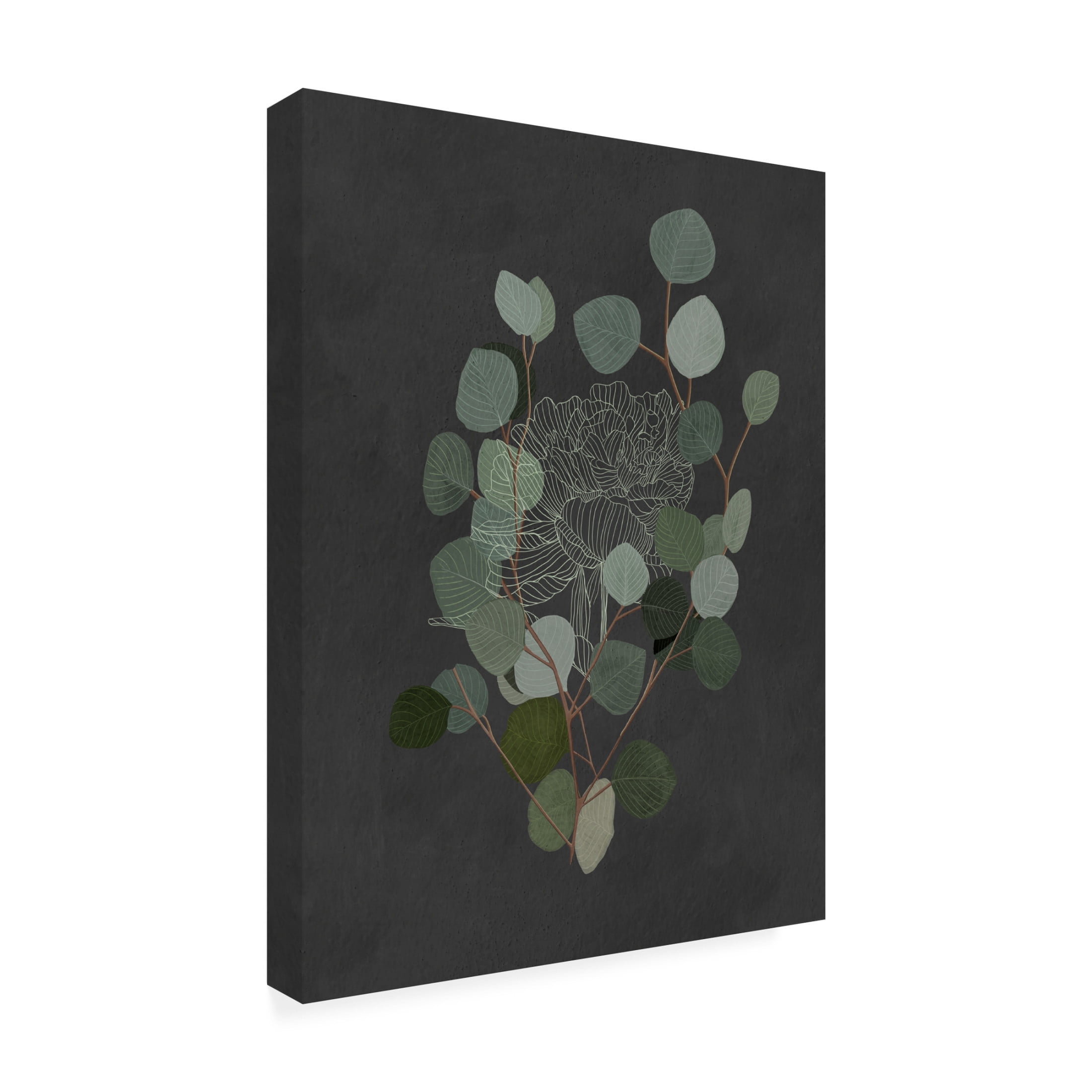 Trademark Fine Art Katie O'Shea  Eucalyptus Leaves IV Canvas Wall Art