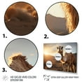 thumbnail image 3 of Designart "Camel Dusk Charm" Animals Floater Framed Canvas Art Print, 3 of 7