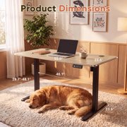Furmax 55 x 24 Home Office Electric Height Adjustable Standing Desk