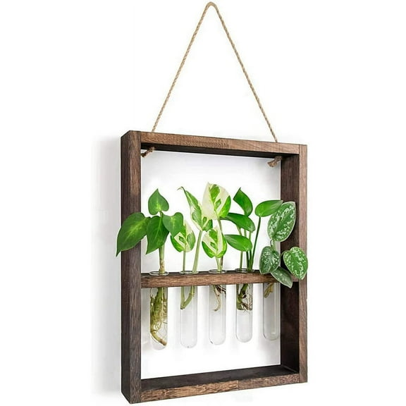 Qtmnekly Wall Mounted Hanging Plants Test Tube Flower Bud Glass Terrarium Wooden Frame for Home Garden Wedding Decoration