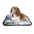 thumbnail image 2 of PKQWTM Trail Water Surface Behind Cruise Ship Pet Dog Cat Bed Pee Pads Mat Cushion Potty Dogsblankets Crate Bed Kennel 20x24 inch, 2 of 3