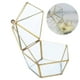 thumbnail image 3 of EeaseMX Caja de anillo geométrica de pentágono, regalo único de boda, decoración para fiestas, soporte de regalo de vidrio, caja de almacenamiento de joyas, 3 of 7