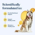 thumbnail image 2 of Honest Paws Omega-3 Fish Oil for Dogs with Wild Alaskan Salmon, Skin & Coat and Joint Health Support, 16 oz, 2 of 10