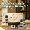 thumbnail image 4 of Aeshory Hotel Diffuser Oils Gift Set - Luxury Fragrance Oil Blends for Diffusers & DIY, 6*10 ml, 4 of 5