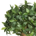 thumbnail image 2 of Nearly Natural 48" Sweet Bay Double Ball Topiary Silk Tree in Green/Black, 2 of 5