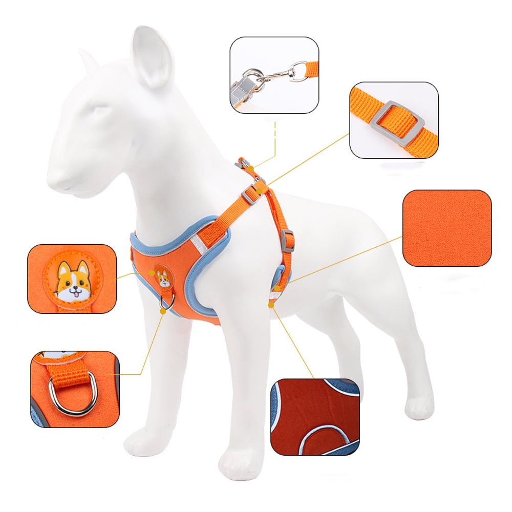 Puppy Harness with Tow Rope, Pet Chest Harness Vest for Little Dog and Cats