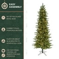 thumbnail image 5 of Fraser Hill Farm 9-Ft. Carmel Pine Slim Artificial Christmas Tree with White Incandescent Smart Lights, FFCP090-3GR, 5 of 15