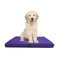 thumbnail image 2 of Tommy Roommie Cama perro Tommy Morada CH, 2 of 5