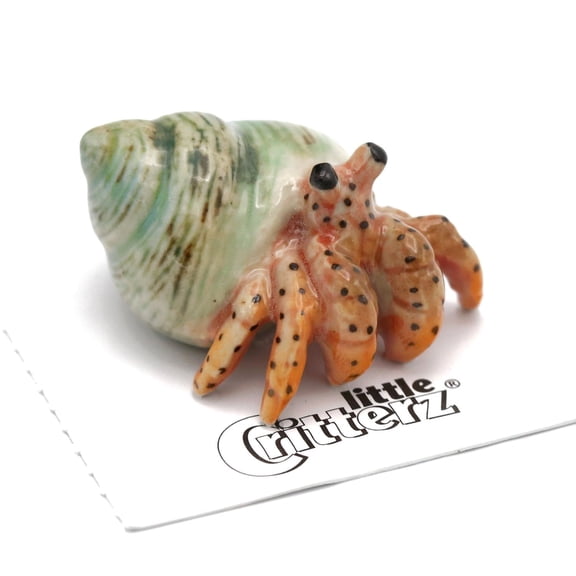 Little Critterz Crab "Hermit" Reptile Sea Snail Shells - Handcrafted Home Decor Reptile Decorative Figurine - Miniature Porcelain Figurine