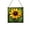Black-eyed Susan Flower, variant on Bluebonnet Flower Stained Glass Panel Suncatcher Square Window Hanging, 8 Inch Real Glass Decorative Art Sun Catcher for Home, Gift, and Garden Decor 75OR5