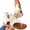 White, variant on Women's Clip-Toe Flip Flops Studded Canvas Flat Sandals,Summer Fashion Buckle-Strap Back Zipper Orthopedic Open Toe Flops,Casual Fringe Boho Comfy Slip on Beach Slippers