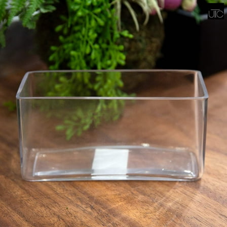 Elaris Rectangular Clear Glass Trough