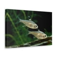 thumbnail image 2 of Funny X-ray Fish Silly X-ray Fish Scene Couple Wall Art Ready to Hang Unframed, 2 of 18