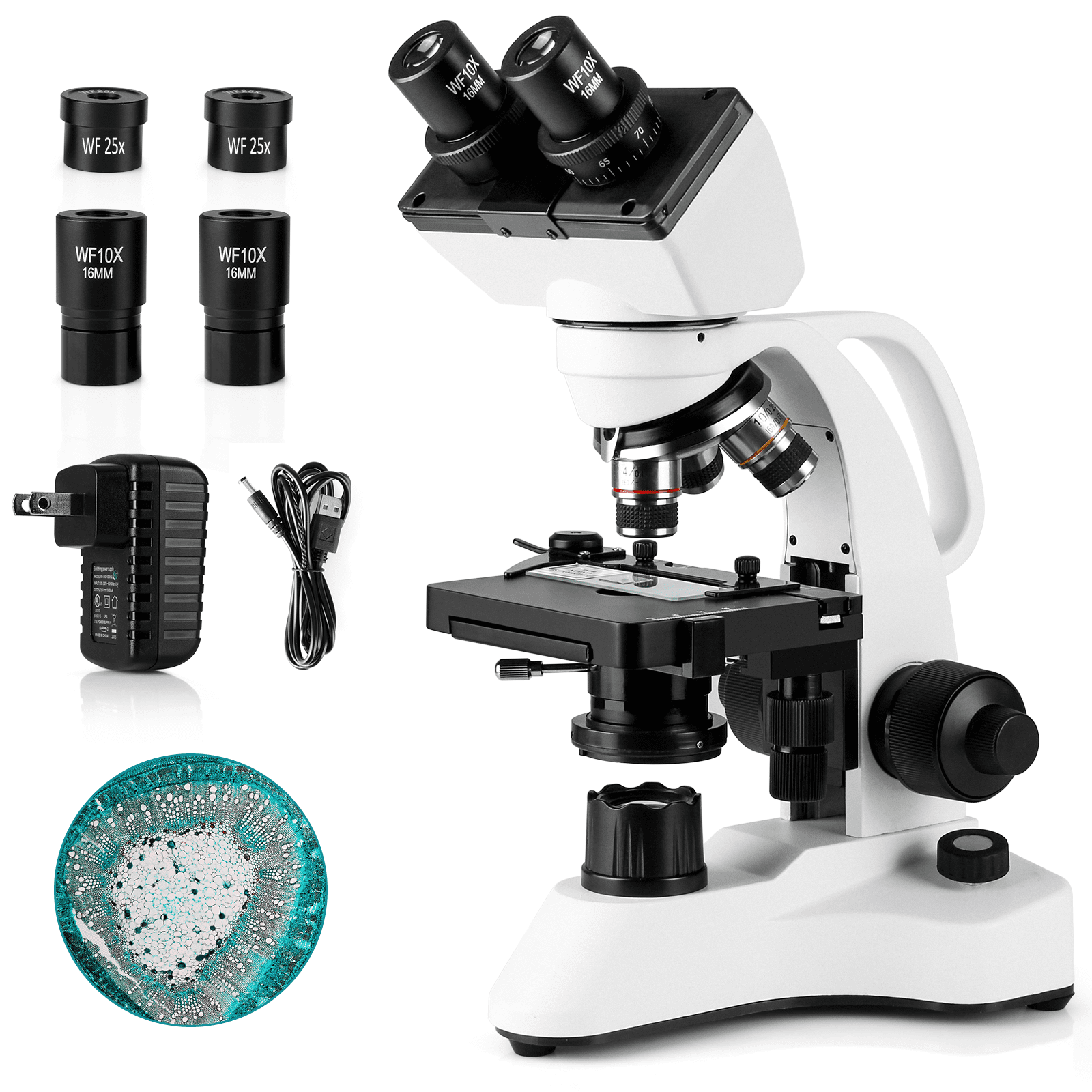 5MP WiFi Digital Eyepiece Camera Parco Scientific Trinocular Compound Microscope LED Illumination Mechanical Stage 1.25 NA Abbe Condenser 40x-1000x Magnification 10x WF Eyepieces 