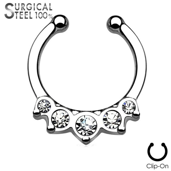 Septum All 316L Surgical Steel Fake Septum Hanger 5 Crystal Set
