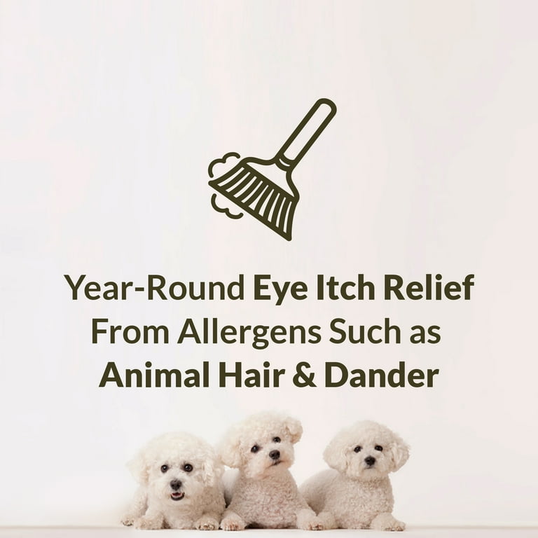 Alaway eye drops 2024 for dogs