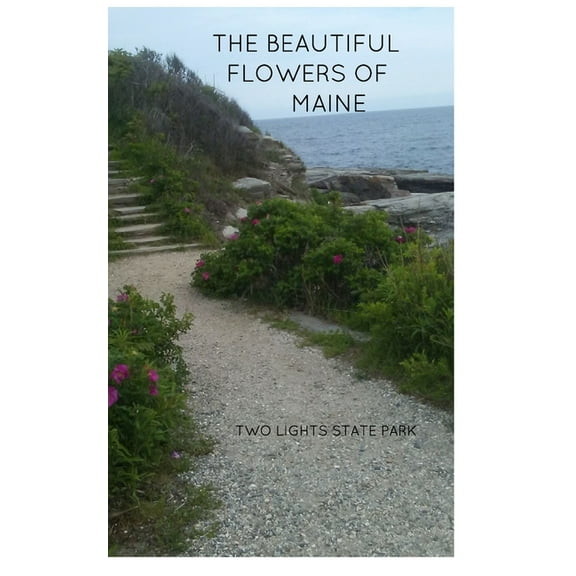 The Beautiful Flowers of Maine, (Paperback)