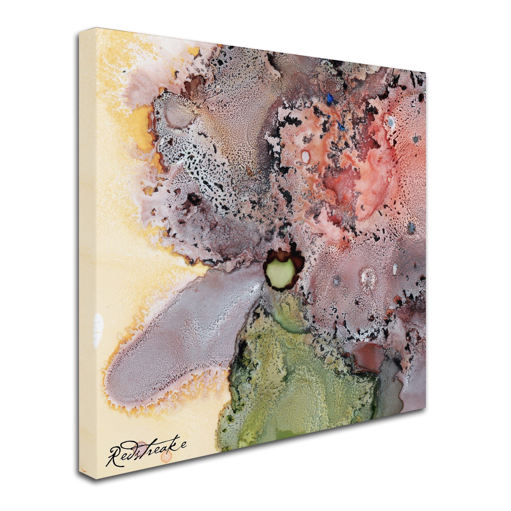 Trademark Fine Art 'Abstract Floral' Canvas Art by Jennifer Redstreake