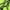 green, variant on Little/Big Boys Running Sneakers Lightweight Slip on Tennis Shoes