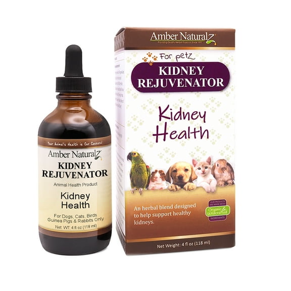 Amber NaturalZ Kidney Health for Pets | Pet Herbal Supplement for Kidney Wellness 4oz