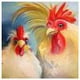 thumbnail image 1 of Cuadros Decorativos Kit de pintura de diamante 5D, taladro redondo completo de pollo, arte de pared DIY de diamantes de imitación Sywqhk Nuevos Originales, 1 of 9