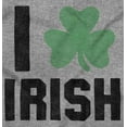 thumbnail image 2 of St Patricks Day Irish Pride Shamrock Unisex Plus Fleece Graphic Sweatshirt Brisco Brands 2X, 2 of 4