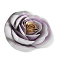 thumbnail image 2 of 3D Flower Mats Irregular Carpets Light Washable And Decorative Carpets Suitable For Bedroom Living Room Bathroom And Camping Home Decoration. And Striped Throw Blanket Big Knotted Blankets Throw, 2 of 8