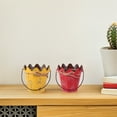 thumbnail image 4 of WASHWEPE 2Ud Maceteros Rusticos De Metal Con Vintage Para Suculentas Uso Interior Y Exterior, 4 of 7