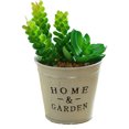 thumbnail image 1 of Se utiliza para decorar su hogar u oficina. Plantas en macetas suculentas artificiales realistas., 1 of 5