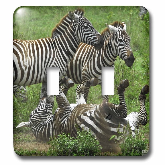 3dRose, Common zebra Lake Nakuru Kenya Africa, double toggle switch
