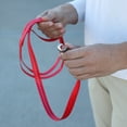 thumbnail image 4 of (2 pack) Vibrant Life 5' Reflective Polyester Dog Leash, Red, Medium, 4 of 10