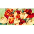 thumbnail image 2 of Stone, Jim 24x14 White Modern Wood Framed Museum Art Print Titled - Red And White Tulips, 2 of 4