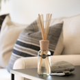 thumbnail image 2 of Reed Diffuser Archipelago Botanicals, mango y mandarina, 230 ml, 2 of 3